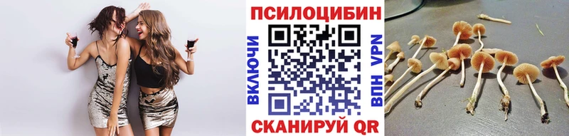 Купить закладки  Мещовск  Галлюциногенные грибы Cubensis 